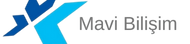 Mavi Bilişim-Güvenlik Sistemleri